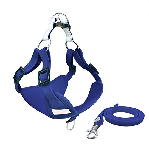 Reflektierendes Hundegeschirr und Leine, Set für kleine und mittelgroße Hunde, Welpen, Französische Bulldogge, Mops, Größe L, Blau Reflektierendes Hundegeschirr und Leine, Set für kleine und mittelgroße Hunde, Welpen, Französische Bulldogge, Mops, Größe L, Blau von N\A