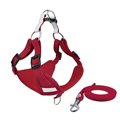 Reflektierendes Hundegeschirr und Leine, Set für kleine und mittelgroße Hunde, Welpen, Französische Bulldogge, Mops, Größe S, Rot Reflektierendes Hundegeschirr und Leine, Set für kleine und mittelgroße Hunde, Welpen, Französische Bulldogge, Mops, Größe S, Rot von N\A