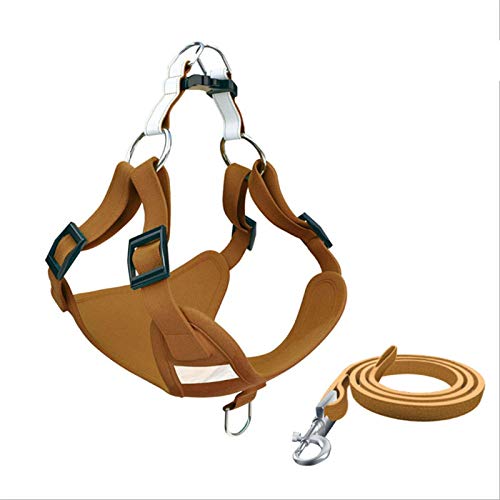 Reflektierendes Hundegeschirr und Leine, Set für kleine und mittelgroße Hunde, Welpen, Französische Bulldogge, Mops, Größe XS, Braun Reflektierendes Hundegeschirr und Leine, Set für kleine und mittelgroße Hunde, Welpen, Französische Bulldogge, Mops, Größe XS, Braun von N\A