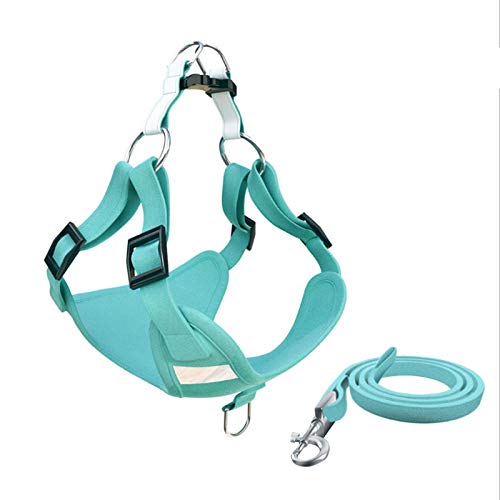 Reflektierendes Hundegeschirr und Leine, Set für kleine und mittelgroße Hunde, Welpen, Französische Bulldogge, Mops, Größe XXS, Hellgrün Reflektierendes Hundegeschirr und Leine, Set für kleine und mittelgroße Hunde, Welpen, Französische Bulldogge, Mops, Größe XXS, Hellgrün von N\A