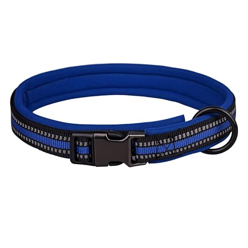 Reflektierendes Nylon-Hundehalsband mit Sicherheitsschnalle, verstellbare Haustierhalsbänder mit weicher Neoprenpolsterung für kleine, mittelgroße und große Hunde (M fit Halsumfang 42-55 cm, Blau) von N\A