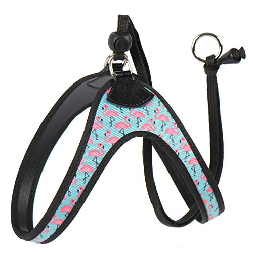 Stunt Puppy Easy and Comfortable Dog Seat Belt Printed Flamingo Pattern Small Pet Seat Belt Chihuahua Shih Tzu Bulldog Dog Seat Belt 2.0 von N\A