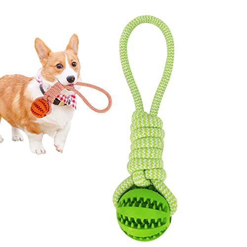 Tianyis Hundespielzeug, Wurfball für Hunde, Hundeball aus Natur-Gummi, Hunden Ball mit Schnur für Apportieren, Fangen, Werfen, Tauziehen Tianyis Hundespielzeug, Wurfball für Hunde, Hundeball aus Natur-Gummi, Hunden Ball mit Schnur für Apportieren, Fangen, Werfen, Tauziehen von N\A
