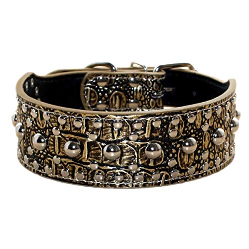 Unisex-Hundehalsband aus Leder, mit Nieten, Größe M und L, Größe M (43–50 cm, Goldbraun) von N\A