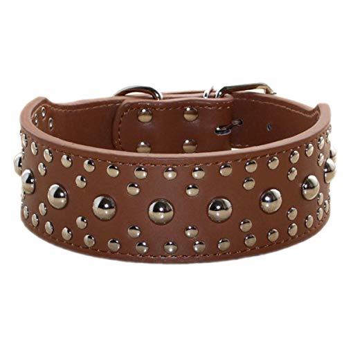 Unisex-Hundehalsband aus Leder, mit Nieten, Größe M und L, Größe M / L (L: 48-56, Braun) von N\A
