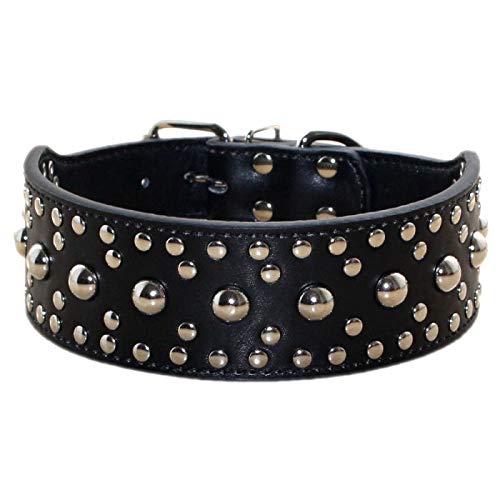 Unisex-Hundehalsband aus Leder, mit Nieten, Größe M und L, Größe M / L (L: 48-56, Schwarz) von N\A