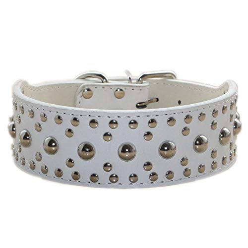 Unisex-Hundehalsband aus Leder, mit Nieten, Größe M und L, Größe M / L (L: 48-56, Weiß) von N\A