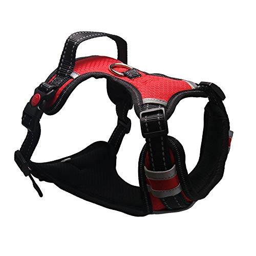 Verstellbares, passendes Hundegeschirr, reflektierend, Nylon, für große Hunde, keine Spannung, Größe M, Brustumfang 46–80 cm, Rot Verstellbares, passendes Hundegeschirr, reflektierend, Nylon, für große Hunde, keine Spannung, Größe M, Brustumfang 46–80 cm, Rot von N\A