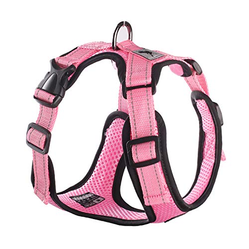 Verstellbares Haustier-Trainingsprodukt für kleine Hunde, Chihuahua, Mops, Größe M, Rosa Verstellbares Haustier-Trainingsprodukt für kleine Hunde, Chihuahua, Mops, Größe M, Rosa von N\A