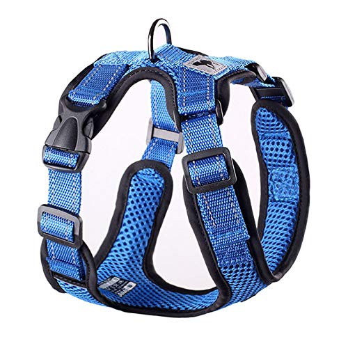 Verstellbares Haustier-Trainingsprodukt für kleine Hunde, Chihuahua, Mops, XL, blau, ohne Zugnetz, Hundegeschirr, atmungsaktiv, Welpenweste, reflektierender Strahl Verstellbares Haustier-Trainingsprodukt für kleine Hunde, Chihuahua, Mops, XL, blau, ohne Zugnetz, Hundegeschirr, atmungsaktiv, Welpenweste, reflektierender Strahl von N\A