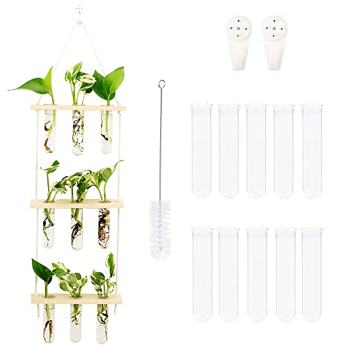 Woohome Pflanzgefäß Terrarium mit Holzständer 3 Stöckiges Mini Reagenzglas Blumenvasen, Reagenzglas Vase für Hydrokultur Pflanzen für Hausgarten Büro Dekor Woohome Pflanzgefäß Terrarium mit Holzständer 3 Stöckiges Mini Reagenzglas Blumenvasen, Reagenzglas Vase für Hydrokultur Pflanzen für Hausgarten Büro Dekor von Woohome