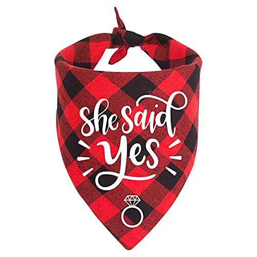 MaySunset Hundehalstuch, Motiv: She Said Yes für Hochzeit, Hochzeit, Party, Haustier, Schal, Taschentuch, Hochzeitskleid, Verlobungsgeschenk von NC