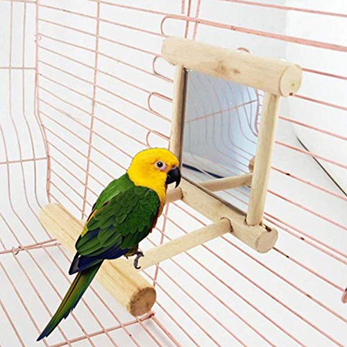 N/K PULABO Lustige Vogel Stehen Holz Spielzeug Spiegel Plattform für Papageien Nymphensittich Pet Supplies Zuverlässige Leistung N/K PULABO Lustige Vogel Stehen Holz Spielzeug Spiegel Plattform für Papageien Nymphensittich Pet Supplies Zuverlässige Leistung von N/K