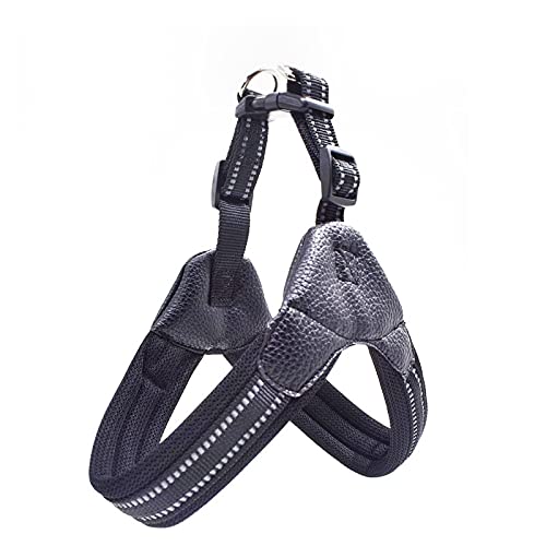 Atmungsaktiver Nylon-Netz-Hunde-Sicherheitsgurt, reflektierend, verstellbar, Hunde-Sicherheitsgurt und Leine, Abdeckung für Hundehalsband, Leine, Hundezubehör, XS, Schwarz Atmungsaktiver Nylon-Netz-Hunde-Sicherheitsgurt, reflektierend, verstellbar, Hunde-Sicherheitsgurt und Leine, Abdeckung für Hundehalsband, Leine, Hundezubehör, XS, Schwarz von N\O
