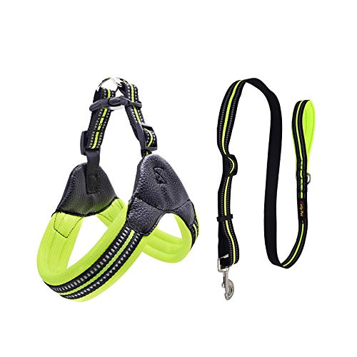 Atmungsaktiver Nylon-Netz-Hunde-Sicherheitsgurt, reflektierend, verstellbar, Hunde-Sicherheitsgurt und Leine, Haustierhalsband, Leine, Hundezubehör, Größe M, Grün Atmungsaktiver Nylon-Netz-Hunde-Sicherheitsgurt, reflektierend, verstellbar, Hunde-Sicherheitsgurt und Leine, Haustierhalsband, Leine, Hundezubehör, Größe M, Grün von N\O