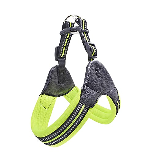 Atmungsaktiver Nylon-Netz-Hunde-Sicherheitsgurt, reflektierend, verstellbar, Hunde-Sicherheitsgurt und Leine, Haustierhalsband, Leine, Hundezubehör, Größe S, Grün Atmungsaktiver Nylon-Netz-Hunde-Sicherheitsgurt, reflektierend, verstellbar, Hunde-Sicherheitsgurt und Leine, Haustierhalsband, Leine, Hundezubehör, Größe S, Grün von N\O