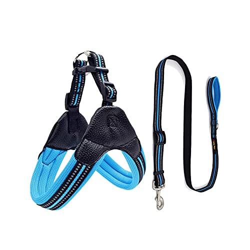 Atmungsaktiver Nylon-Netz-Hunde-Sicherheitsgurt, reflektierend, verstellbar, Hunde-Sicherheitsgurt und Leine, Haustierhalsband, Leine, Hundezubehör, Größe S Atmungsaktiver Nylon-Netz-Hunde-Sicherheitsgurt, reflektierend, verstellbar, Hunde-Sicherheitsgurt und Leine, Haustierhalsband, Leine, Hundezubehör, Größe S von N\O
