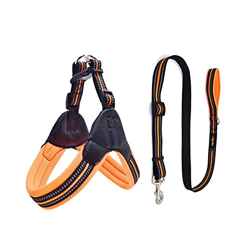 Atmungsaktiver Nylon-Netz-Hunde-Sicherheitsgurt, reflektierend, verstellbar, Hunde-Sicherheitsgurt und Leine, Hundezubehör, Größe M, Orange Atmungsaktiver Nylon-Netz-Hunde-Sicherheitsgurt, reflektierend, verstellbar, Hunde-Sicherheitsgurt und Leine, Hundezubehör, Größe M, Orange von N\O