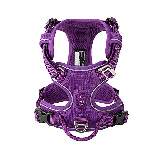 Haustier-Hundegeschirr, reflektierend, Nylon, keine Spannung, verstellbar, Größe M und L, freche Hundeweste, Sicherheitsleine, Leder, Spazierengehen, Laufen, Größe XS, Violett von N\O