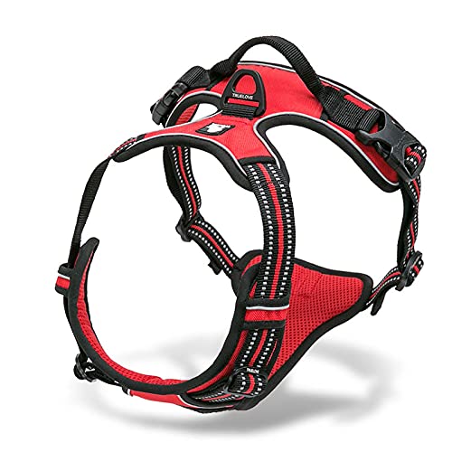 Hundegeschirr aus reflektierendem Nylon, für jedes Wetter, V-förmig, gesteppt, verstellbar, Sicherheitsauto mit Leine, Leder, Größe XL, 81–107 cm, Rot Hundegeschirr aus reflektierendem Nylon, für jedes Wetter, V-förmig, gesteppt, verstellbar, Sicherheitsauto mit Leine, Leder, Größe XL, 81–107 cm, Rot von N\O
