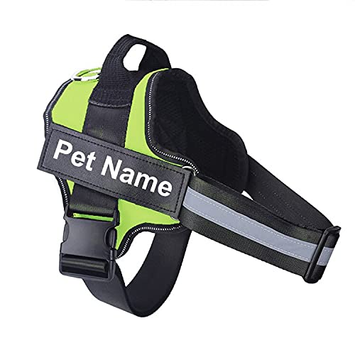 Hundegeschirr ohne Reißverschluss, reflektierend, atmungsaktiv, verstellbares Haustiergeschirrweste, mit ID-Patch, Outdoor-Hundebedarf, M, Grün Hundegeschirr ohne Reißverschluss, reflektierend, atmungsaktiv, verstellbares Haustiergeschirrweste, mit ID-Patch, Outdoor-Hundebedarf, M, Grün von N\O