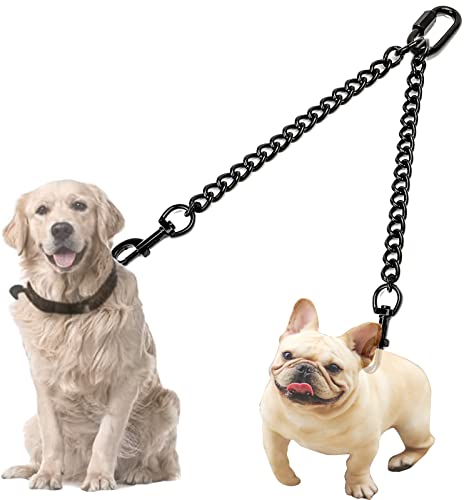Hundeleine Doppelleine für 2 Hunde, Doppelte Hundeleine für Hund Hochleistungs Stahl Kette Hunde Leine, Metall Hundeleine Doppelter Coupler Hundeleinen für Große Kleine Hunde-M 3.5mm 60cm von Fiyade