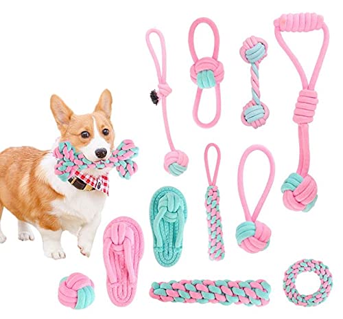 Hundespielzeug, Spielzeug für Hunde, Kauspielzeug für Hunde, interaktives Spielzeug für kleine / mittelgroße Hunde, 12 Stück von N/S
