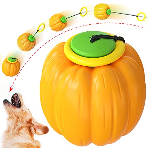 Automatischer Teleskop Hand Werfen Ball und Yoyo Ball Molar Ball Hundespielzeug Haustier Spielzeug (Orange) von N\W