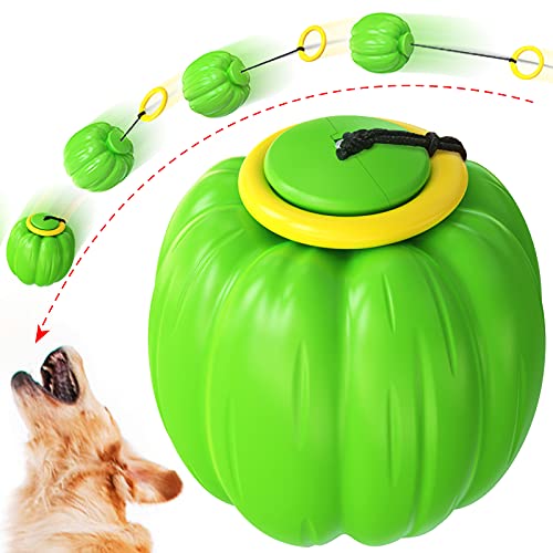 Automatischer Teleskop Hand Werfen Ball und Yoyo Ball Molar Ball Hundespielzeug Haustier Spielzeug (grün) von N\W