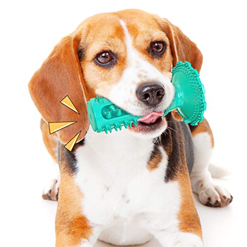 Classic Sound Dog Zahnbürste Kauspielzeug Kauspielzeug Pet Toy Squeaky Toy Pet Product Suitable for Small Medium and Large Dog Plastic Product (Türkis) von N\W