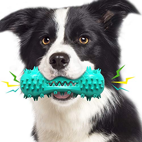 Hundezahnbürste mit Sound, Backenzähne, saubere Zähne, hält die Zahngesundheit, entfernt Kalkulus, Training, Beweglichkeit, verbessert den IQ Hundespielzeug, Haustierzubehör (Türkis) von N\W