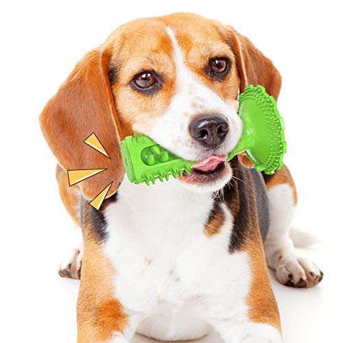 Kauspielzeug für Hunde, mit Quietschelement, geeignet für kleine, mittelgroße und große Hunde, Kunststoff, Grün von N\W