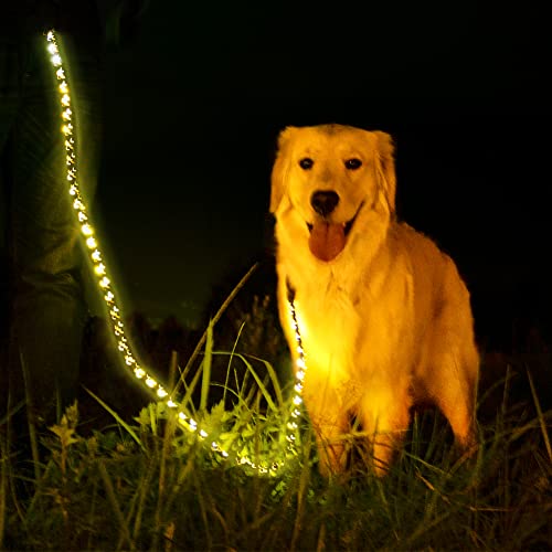 Leuchtende LED-Hundeleine, explosionssicher, mit 3 Blitzmodi, leuchtet auf, für Spaziergänge mit dem Hund in der Nacht, Blau, 150 cm von N\W