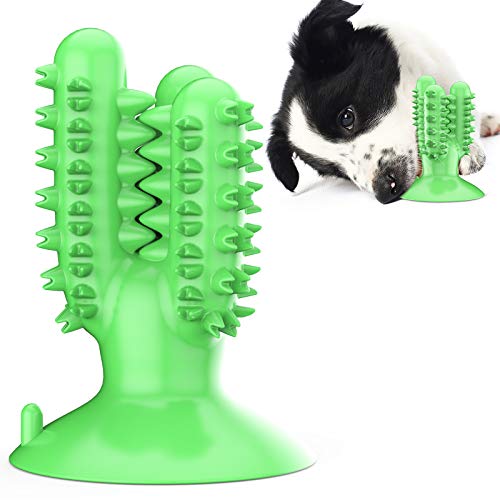 PT54 Kauspielzeug für Hunde, Kaktusform, Kauspielzeug, saubere Zähne, hält die Zahngesundheit, verbessert den IQ, lindert Angstzustände, Wasser, Schwimmspielzeug, Haustierprodukt, Kunststoffprodukt, TPR, Grün von N\W