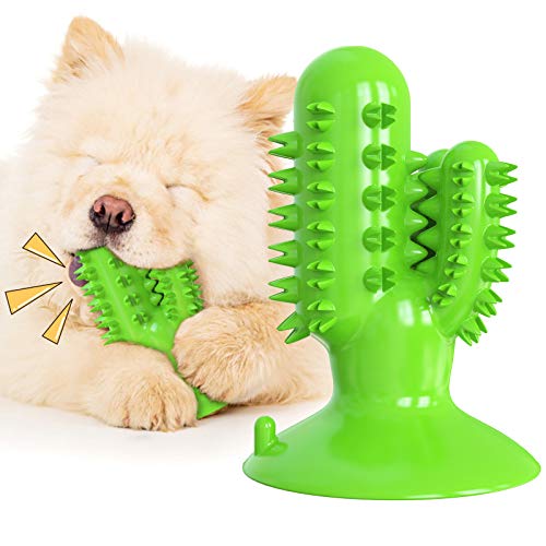 Quietschendes Kaktus Hundespielzeug Hund Zahnbürste Molar Spielzeug Kauspielzeug Lebensmittel Leckage Spielzeug Wasser Float Spielzeug (Grün) von N\W