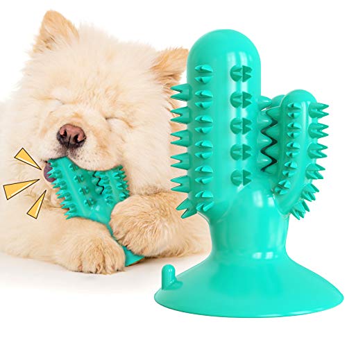 Quietschendes Kaktus Hundespielzeug Hund Zahnbürste Molar Spielzeug Kauspielzeug Lebensmittel Leckage Spielzeug Wasser Float Spielzeug (Türkis) von N\W