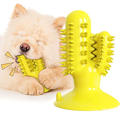 Quietschendes Kaktus Hundespielzeug Hund Zahnbürste Molar Spielzeug Kauspielzeug Lebensmittel Leckage Spielzeug Wasser Float Spielzeug (gelb) von N\W
