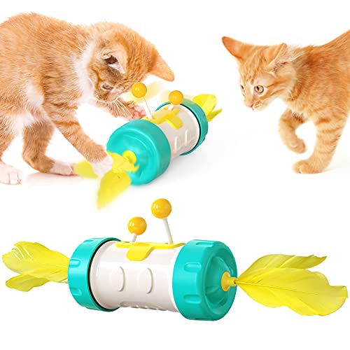 The Magic Wheel Entertain Oneself Katzenspielzeug mit lustiger Katzenfeder, verbessert die Intelligenz, lindert Angstzustände, Schiebespielzeug, Haustier-Produkt, Kunststoffspielzeug (Türkis) von N\W