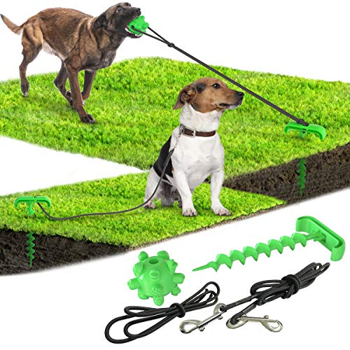 Tragbares Zugseil zum Festbinden eines Hundehaufens mit elastischem Zugseil für die Zahngesundheit, Spielzeug für Hunde, Haustier-Produkt (grün) von N\W