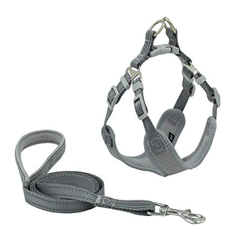 NX Atmungsaktiver Hunde-Sicherheitsgurt im Sommer, ohne Leine, Sicherheitsgurt für kleine/mittelgroße Hunde, die nachts reflektieren, Haustierbedarf, Brustumfang 43,2 - 50,8 cm, Grau NX Atmungsaktiver Hunde-Sicherheitsgurt im Sommer, ohne Leine, Sicherheitsgurt für kleine/mittelgroße Hunde, die nachts reflektieren, Haustierbedarf, Brustumfang 43,2 - 50,8 cm, Grau von N\X