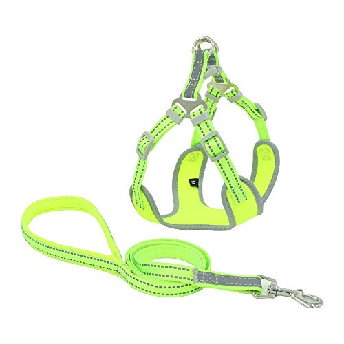 NX Atmungsaktiver Hundesicherheitsgurt im Sommer, keine Leine, Sicherheitsgurt für kleine/mittelgroße Hundewelpen, die nachts reflektieren.Haustierprodukt SChest17-50.8 cm Grün NX Atmungsaktiver Hundesicherheitsgurt im Sommer, keine Leine, Sicherheitsgurt für kleine/mittelgroße Hundewelpen, die nachts reflektieren.Haustierprodukt SChest17-50.8 cm Grün von N\X