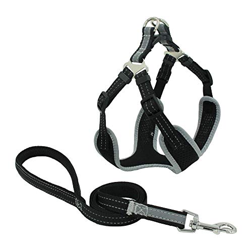 NX Atmungsaktiver Hundesicherheitsgurt im Sommer, keine Leine, Sicherheitsgurt für kleine/mittelgroße Hundewelpen, die nachts reflektieren.Haustierprodukt SChest17-50.8 cm Schwarz NX Atmungsaktiver Hundesicherheitsgurt im Sommer, keine Leine, Sicherheitsgurt für kleine/mittelgroße Hundewelpen, die nachts reflektieren.Haustierprodukt SChest17-50.8 cm Schwarz von N\X