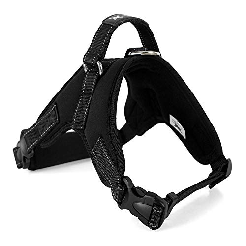 NX Dog Supplies Haustier-Hundegeschirr, Halsband, Weste, Hundegeschirr, Haustierbedarf, Geschirr, Ausgießen, groß, mittel und klein, Neopren, Schwarz von N\X