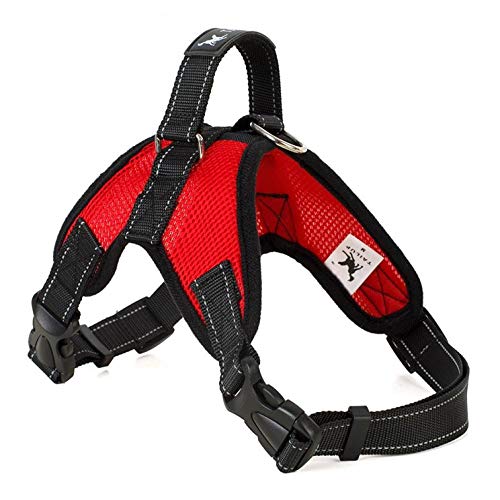 NX Dog Supplies Hundegeschirr, Halsband, Weste, Hundegeschirr, Haustierbedarf, Geschirr, Ausgießen, groß, mittel, klein, L, Netz, Rot von N\X