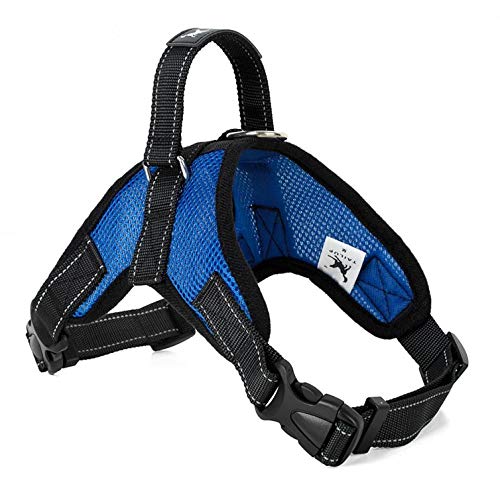 NX Dog Supplies Hundegeschirr, Halsband, Weste, Hundegeschirr, Haustierbedarf, Geschirr, Ausgießen, groß, mittel, klein, XL, Netzblau, Größe XL von N\X