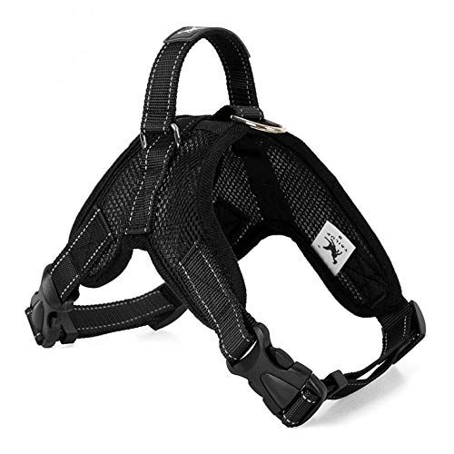 NX Dog Supplies Hundegeschirr, Halsband, Weste, Hundegeschirr, Haustierbedarf, Geschirr, groß, mittel und klein, L, Netzgewebe, schwarzer Käse NX Dog Supplies Hundegeschirr, Halsband, Weste, Hundegeschirr, Haustierbedarf, Geschirr, groß, mittel und klein, L, Netzgewebe, schwarzer Käse von N\X