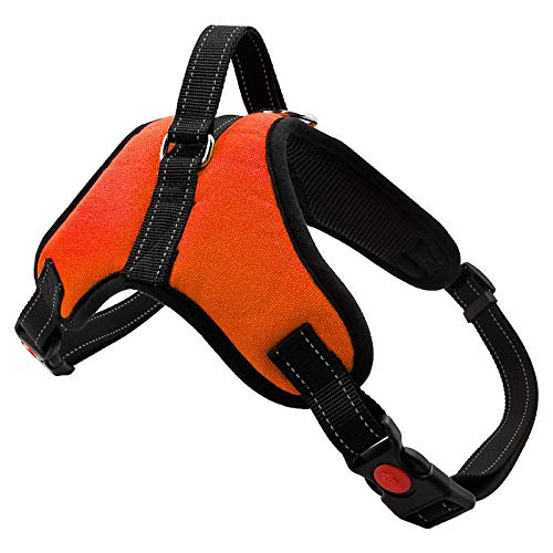 NX Hundegeschirr, explosionsgeschützt, atmungsaktiv, verstellbar, Haustiergeschirr für Hundeweste, Patch, Outdoor-Spaziergänge, Hundebedarf, Größe L, Orange NX Hundegeschirr, explosionsgeschützt, atmungsaktiv, verstellbar, Haustiergeschirr für Hundeweste, Patch, Outdoor-Spaziergänge, Hundebedarf, Größe L, Orange von N\X