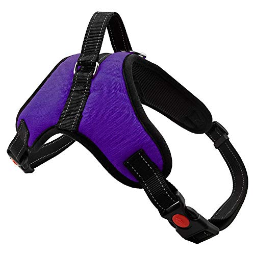 NX Hundegeschirr, explosionsgeschützt, atmungsaktiv, verstellbar, Haustiergeschirr für Hundeweste, Patch, Outdoor-Spaziergänge, Hundebedarf, Größe XS, Violett NX Hundegeschirr, explosionsgeschützt, atmungsaktiv, verstellbar, Haustiergeschirr für Hundeweste, Patch, Outdoor-Spaziergänge, Hundebedarf, Größe XS, Violett von N\X