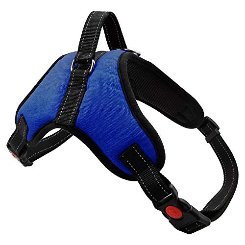 NX Hundegeschirr, explosionssicher, Haustierbox, atmungsaktiv, verstellbar, für Hundeweste, Patch, Outdoor-Spaziergänge, Hundebedarf, Größe XS, Blau NX Hundegeschirr, explosionssicher, Haustierbox, atmungsaktiv, verstellbar, für Hundeweste, Patch, Outdoor-Spaziergänge, Hundebedarf, Größe XS, Blau von N\X