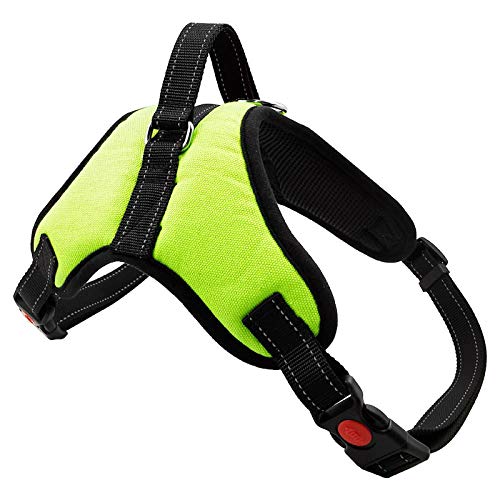 NX Hundegeschirr, explosionssicher, Haustierbox, atmungsaktiv, verstellbar, für Hundeweste, Patch, Outdoor-Spaziergänge, Hundebedarf, Größe XS, Grün NX Hundegeschirr, explosionssicher, Haustierbox, atmungsaktiv, verstellbar, für Hundeweste, Patch, Outdoor-Spaziergänge, Hundebedarf, Größe XS, Grün von N\X
